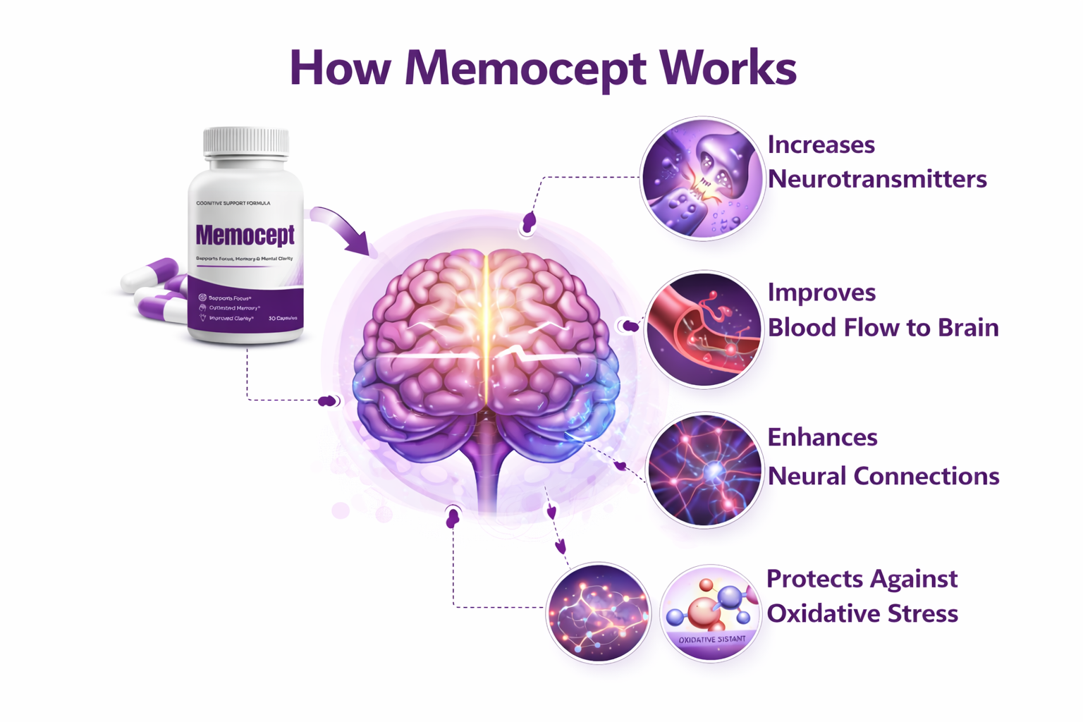How MemoCept works — increases neurotransmitters, improves blood flow, enhances neural connections, protects against oxidative stress